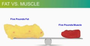 fat vs lean 5